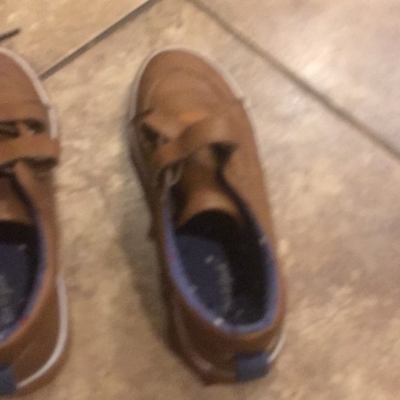 Cat - Picture 6 of 8